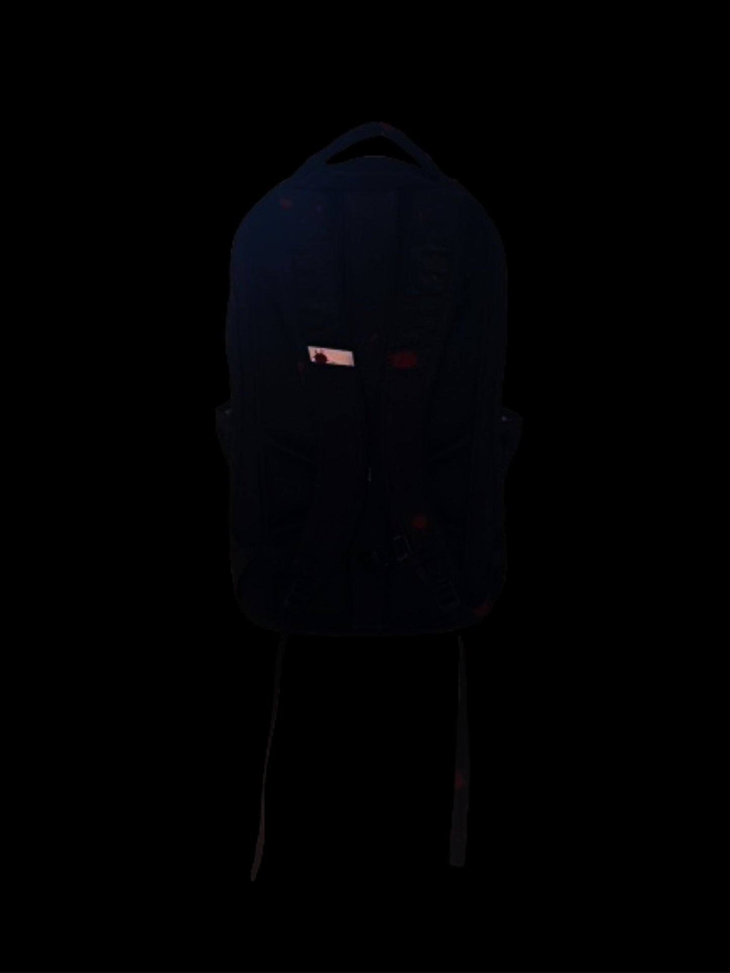1 of 1 L2D backpack